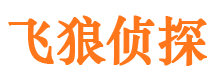 武冈市调查公司